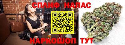 PSILOCYBIN Жуковский