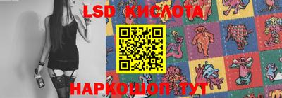 гидра Заводоуковск