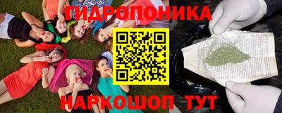 гидра Заводоуковск