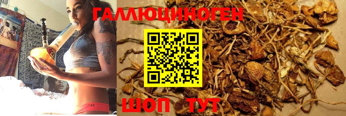 Кудымкар  Псилоцибиновые грибы MAGIC MUSHROOMS  Вход с VPN 